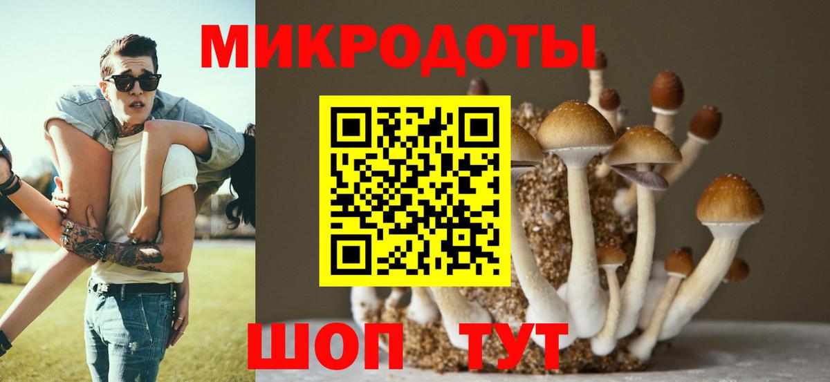Псилоцибиновые грибы Cubensis Канск